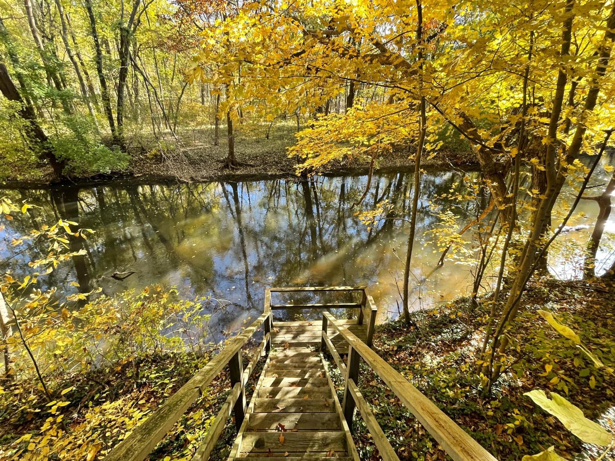 Goldberry Woods- A Modern Farm Resort Union Pier Exterior foto